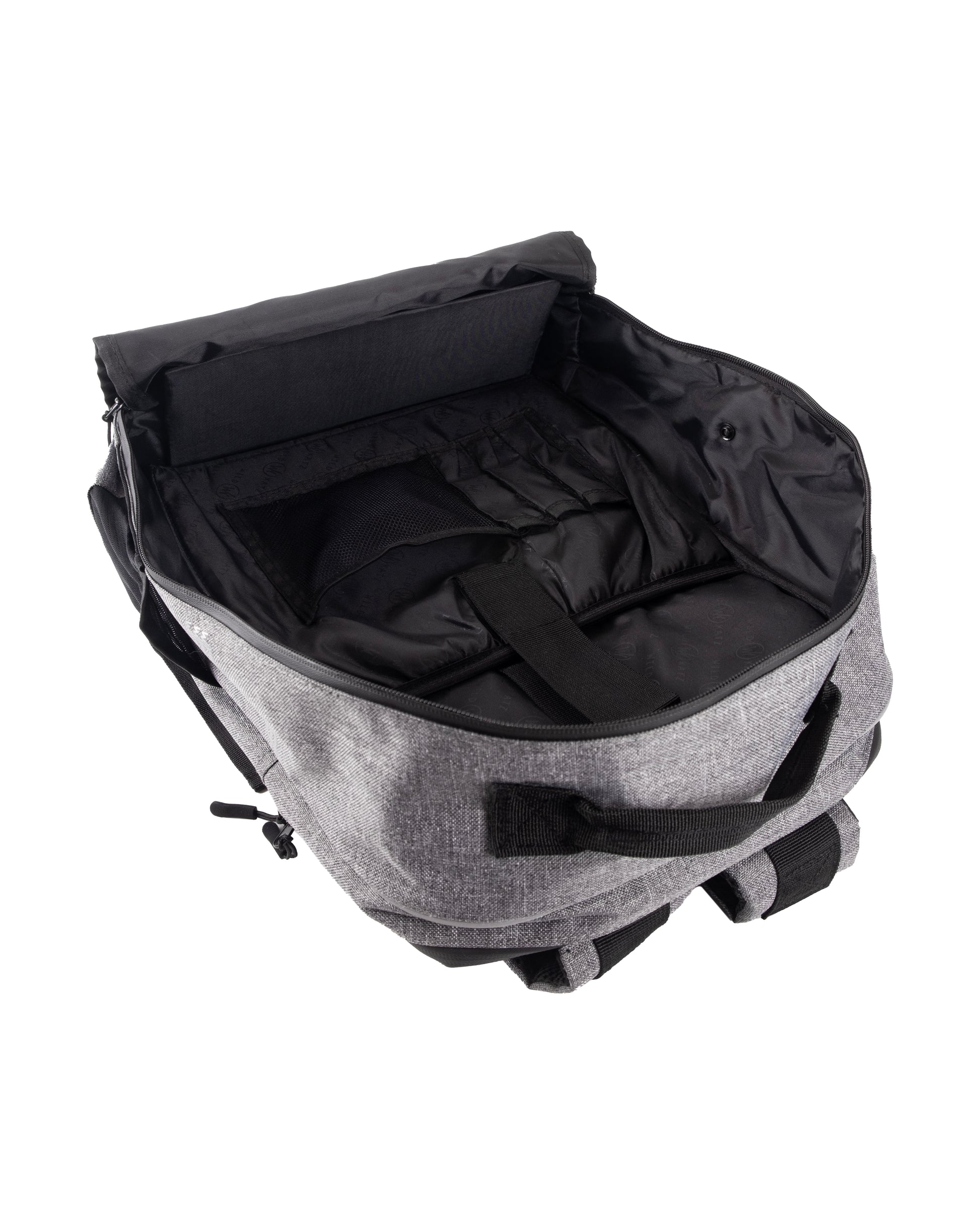 Wildkatz Felis Small 2.0